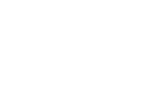 offer-border-2-2